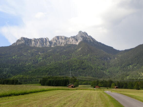 Blick von Pflach zum Säuling
