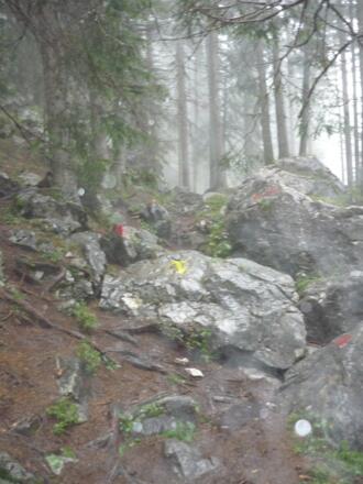 Steig durch den Wald unterhalb der Felsen