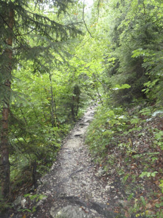 Im Aufstieg geht es durch den Wald auf solchen Pfaden