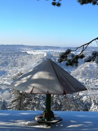 Winterliches Schwammerl über Riedenburg