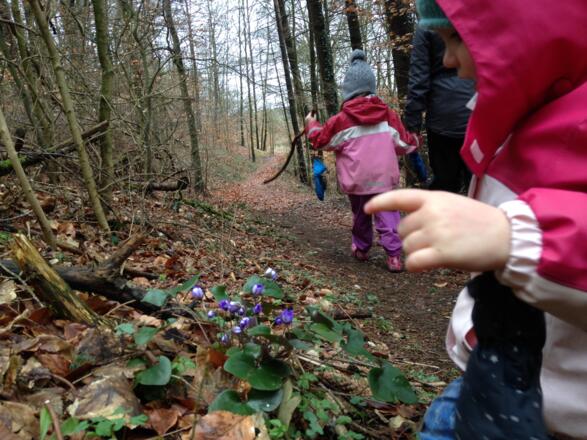 Viel zu entdecken auf dem Weg zur Burg