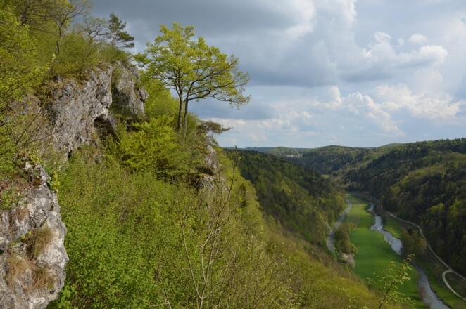 Am &quot;Grat&quot; oberhalb des Wiesenttals