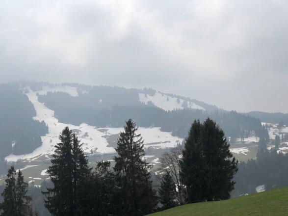 Blick zum Hochälpele