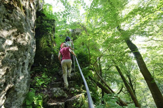 Altmühltal-Panoramaweg - Wandern durch die Klamm bei Riedenburg