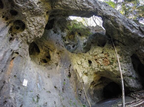 Ein Teil der zerklüfteten Neideckgrotte