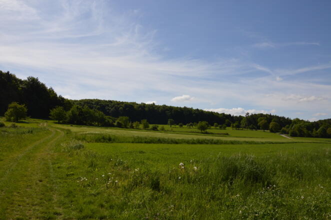 Auf der Jurahöhe über Wiesen und Felder