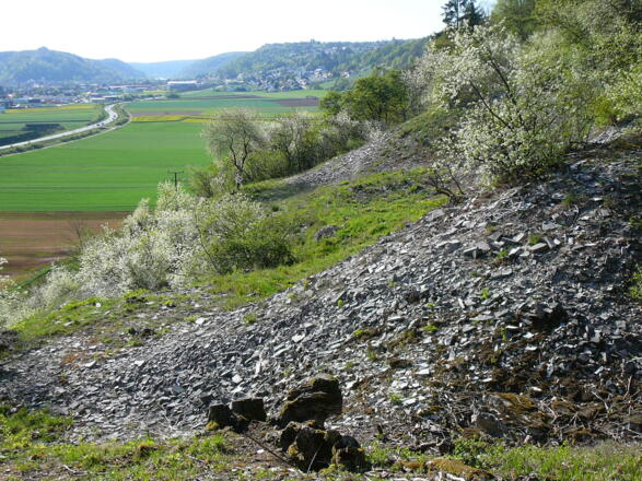 Kalkplatten zu sehen am Winzerweg