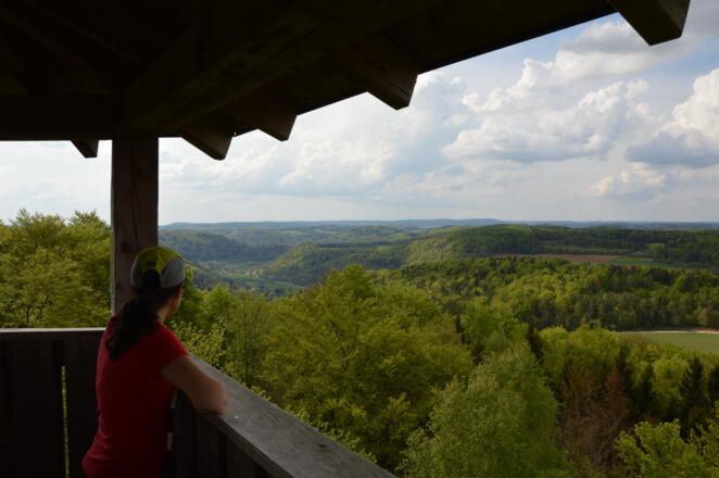 Blick zurück in´s Wiesenttal Richtung Burgruine Neideck