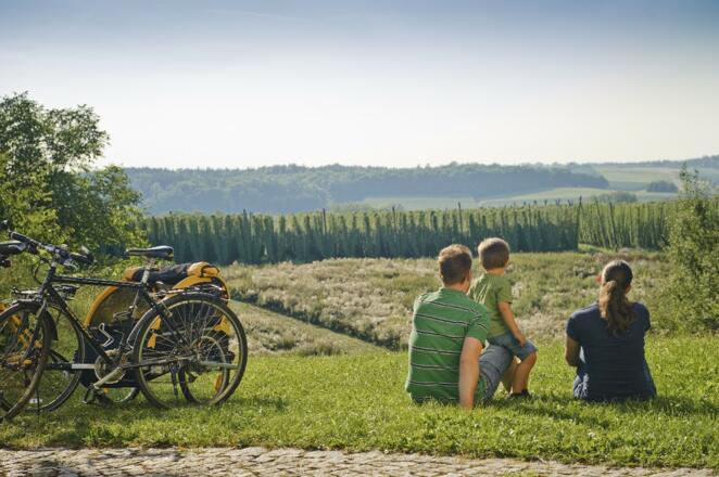 Rast im Hügelland der Hallertau