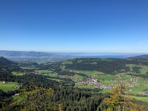 Vom Brüggelekopf richtung Bodensee