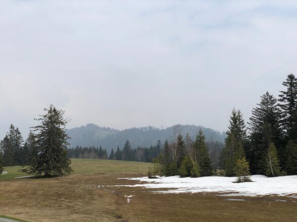 Blick zum Brüggelekopf