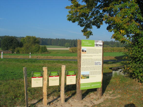 Paintner Schwammerllehrpfad