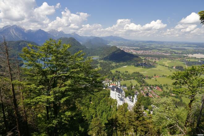 Blick auf Schloss Neuschwanstein