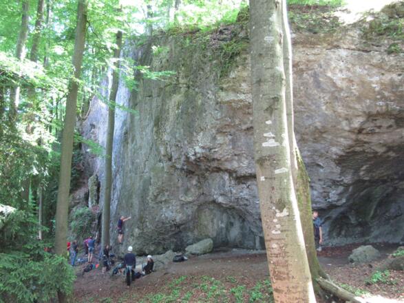 Übersichtsbild des Klettergarten Schlosszwergwand