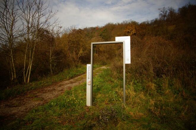 DonauPforte bei Kelheimwinzer