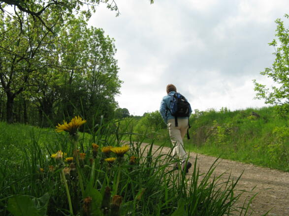 Die leichte Wanderung beginnt!