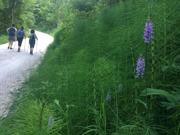 Unterwegs im Rottauer Tal