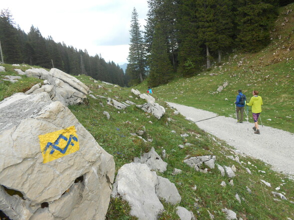 Wegmarkierung Riesenalmen