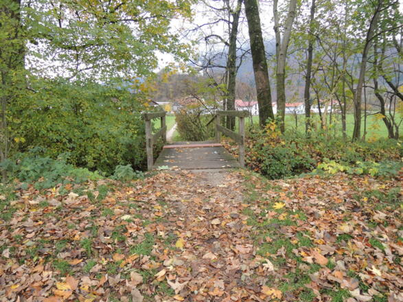 Brücke auf dem Pfad nach Hohenaschau