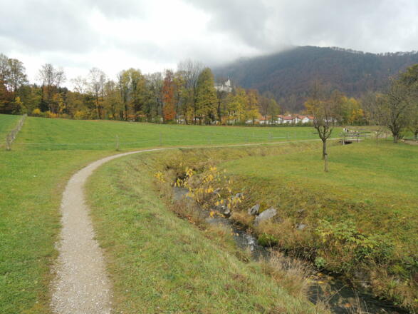 Wiesenpfad nach Hohenaschau