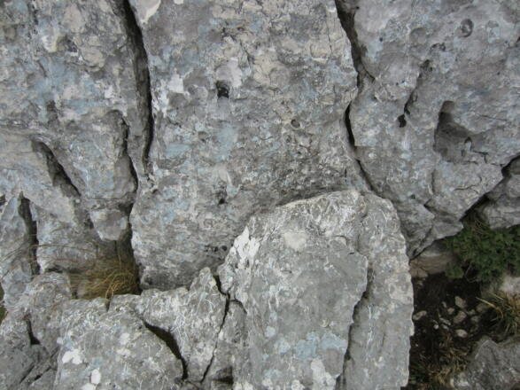 wo der Fels abgespeckt ist und Kratzspuren von Steigeisen zu sehen sind, ist man Richtig!