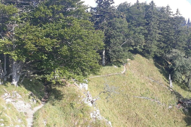 Weg zum Heuberggipfel überhalb des Inntales