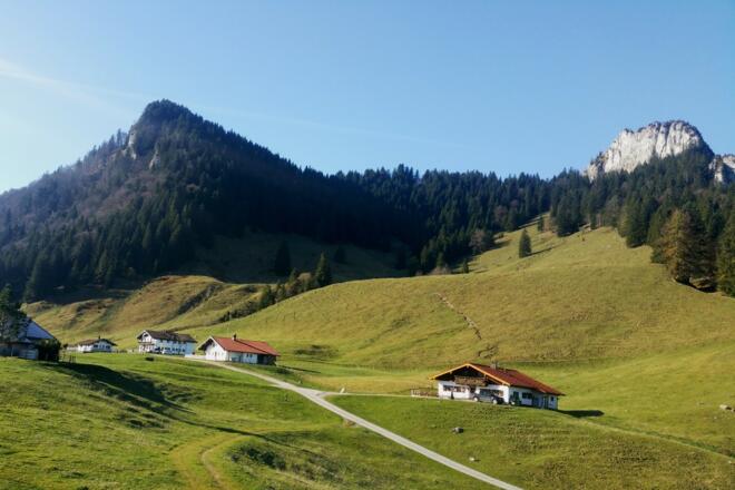 Daffnerwald Almen unterhalb des Heubergs