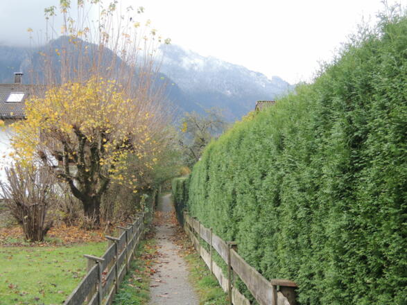 Der Pfad zwischen den Häusern