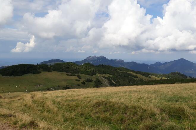 Blick von der Rossalm zur Kampenwand