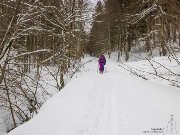 auf der flachen Forststraße taleinwärts