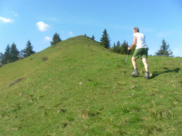 Nordrücken des Erlbergkopfs