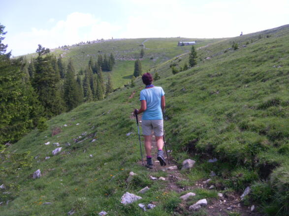 Feichtenalm am Zinnenberg
