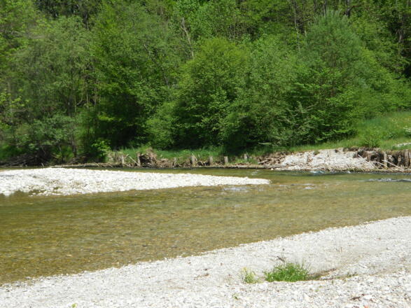 Kiesbank an der Prien