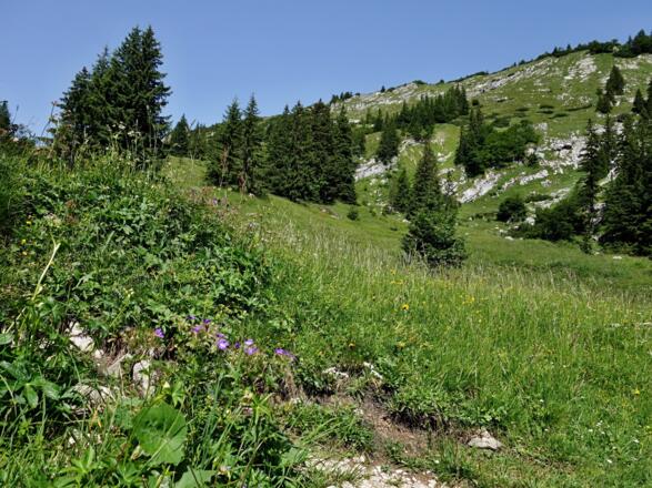 Den Gipfel des Klausenbergs kann man etwas rechts der Bildmitte erkennen