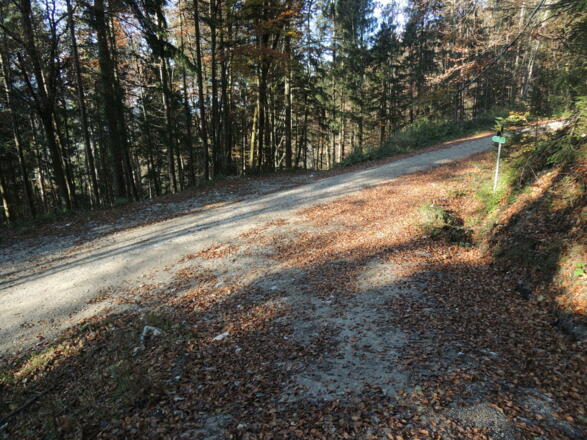 An der folgenden Gabelung biegen wir links ab.