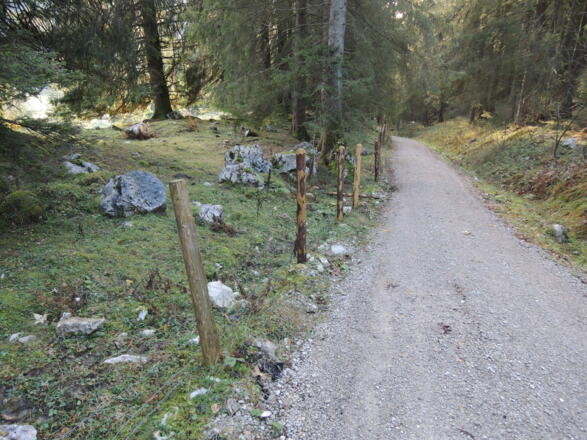 Forstweg zum Klausgraben-Tobel