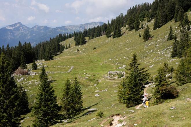 Wandern Richtung Hofbauernalm Kampenwand