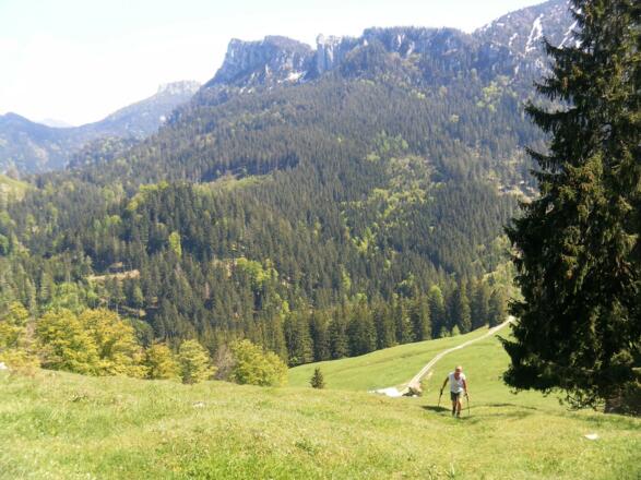 Gedererwand vom Anstieg zum Haindorfer Berg