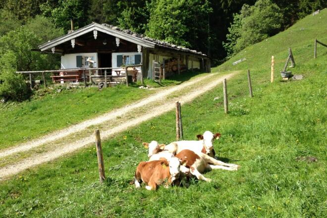Wandern zu den Dalsenalmen