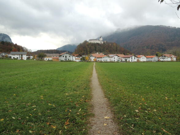 Wiesenpfad nach Hohenaschau