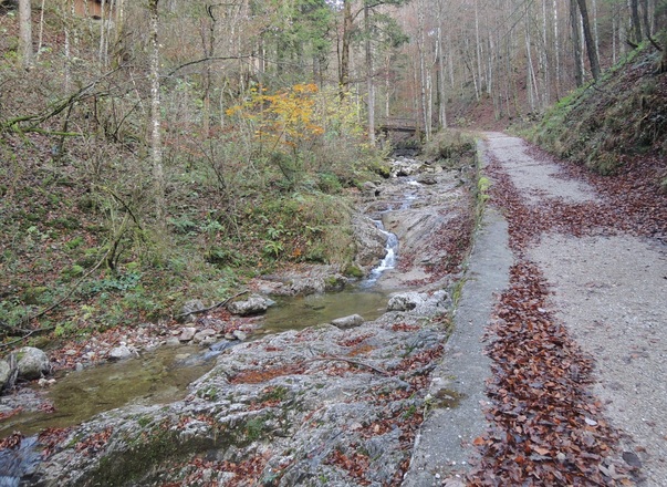 Forstweg im Klausgraben-Tobel