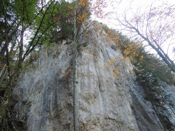 Felswand auf dem Weg nach Aschau