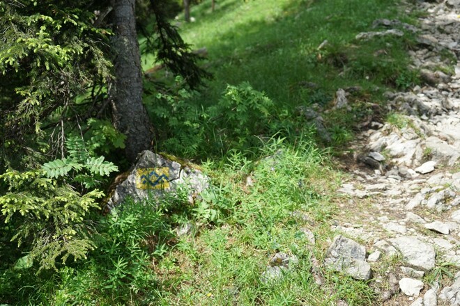 Wegkennzeichnung SalzAlpenTour