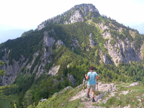 Spitzstein Nordflanke vom Brandelbergabstieg