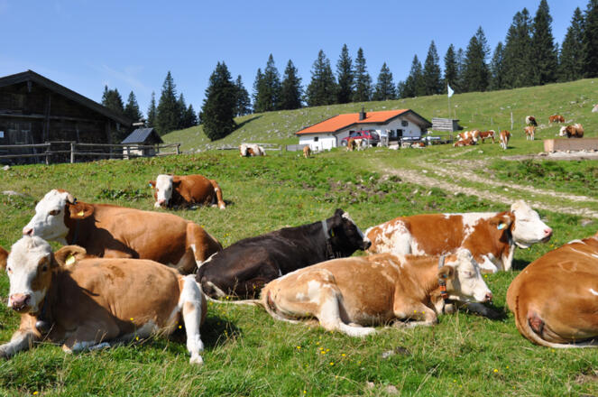 Auf dem Riesenplateau - gemütlich geht&#039;s her