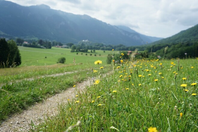Blick zurück nach Aschau