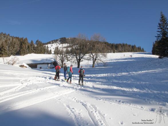breite schöne Südhänge an der Goglalm
