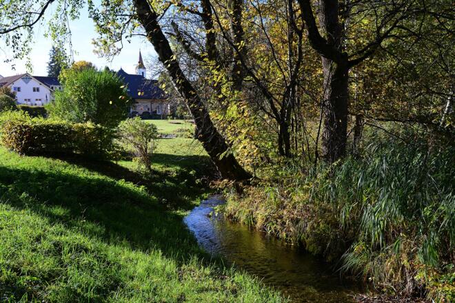 Bachlauf im Schächele