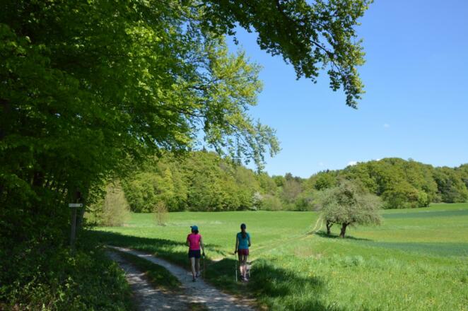 Auf der Jurahöhe zwischen Ebermannstadt und Wiesenttal