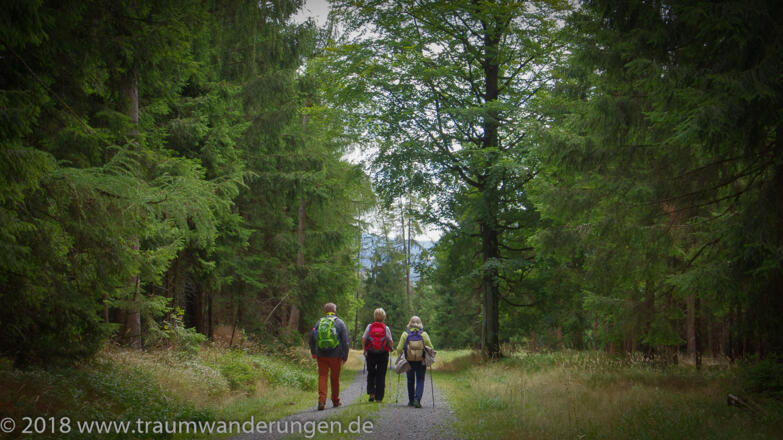 Rückweg um den Signalfels